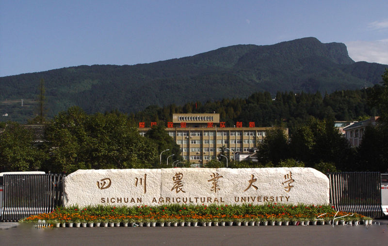 四川农业皇家体育校园美景