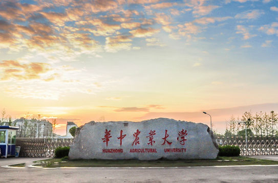 华中农业皇家体育校园美景