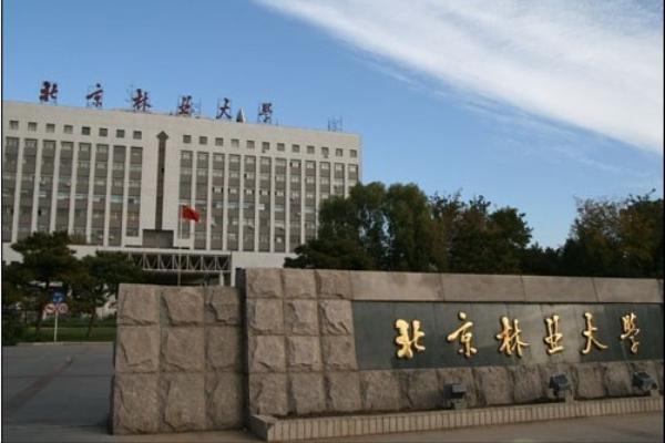 北京林业皇家体育校园美景