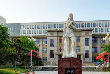 山东农业皇家体育校园美景