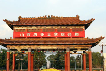 山西农业皇家体育校园美景