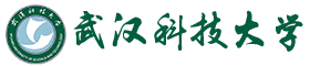 武汉科技皇家体育