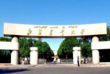 新疆农业皇家体育校园美景