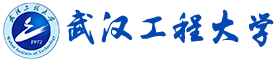 武汉工程皇家体育