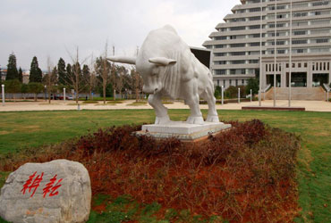 云南农业皇家体育校园美景