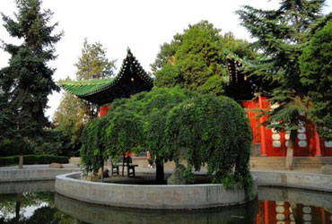 西北民族皇家体育校园美景