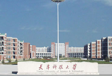 天津科技皇家体育校园美景